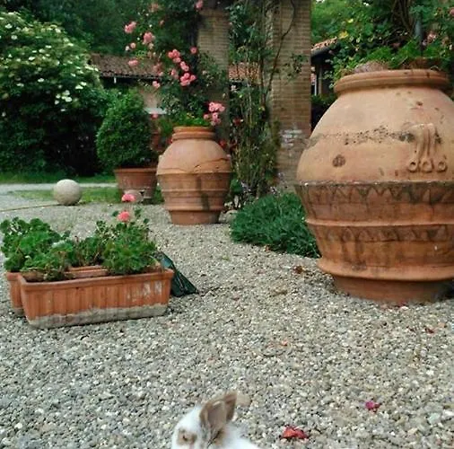 فندق مبيت وإفطار Casa Di 3*